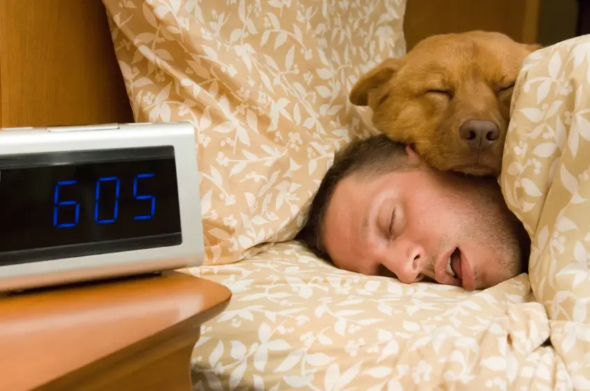 dog laying on man's neck as he sleeps