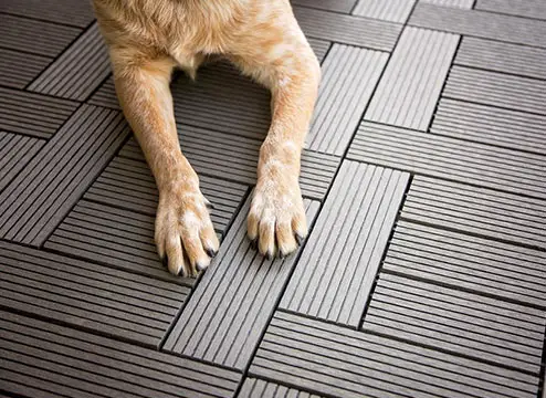 Pet friendly flooring