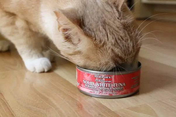Can Cats Eat Lemon Pepper Tuna?