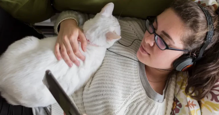 The Spiritual Meaning of a Cat Sleeping on Your Chest