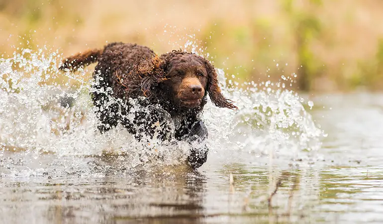 AWS running in water