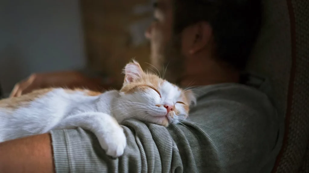 Cat sleeping on owner