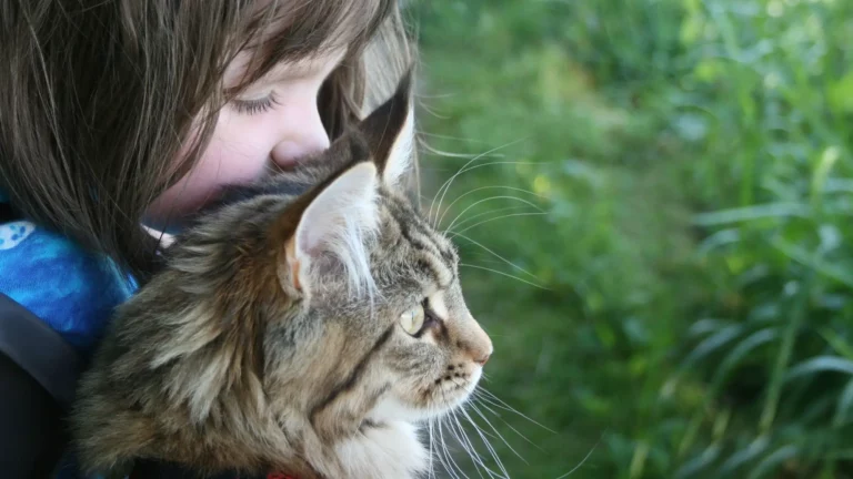 Can Cats Have Autism? A Look Into What the Research Says About Autistic Cats