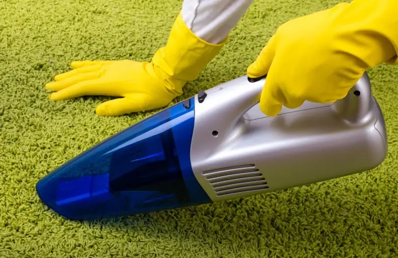 Vacuuming cat poop off carpet