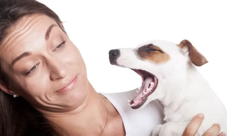 Why Does My Dog’s Breath Smell Like Fish? Causes & Solutions