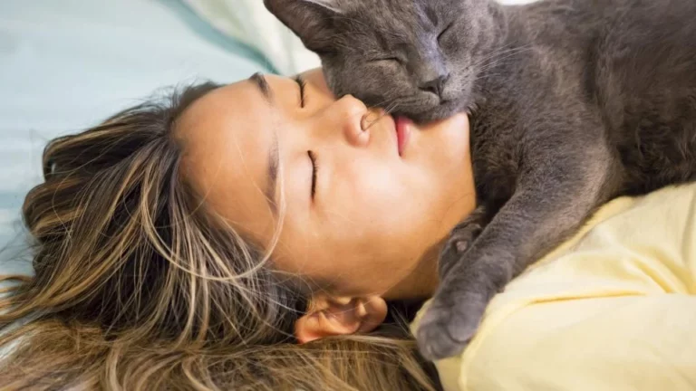 How Do Cats Choose Who To Sleep With? [5 Factors]