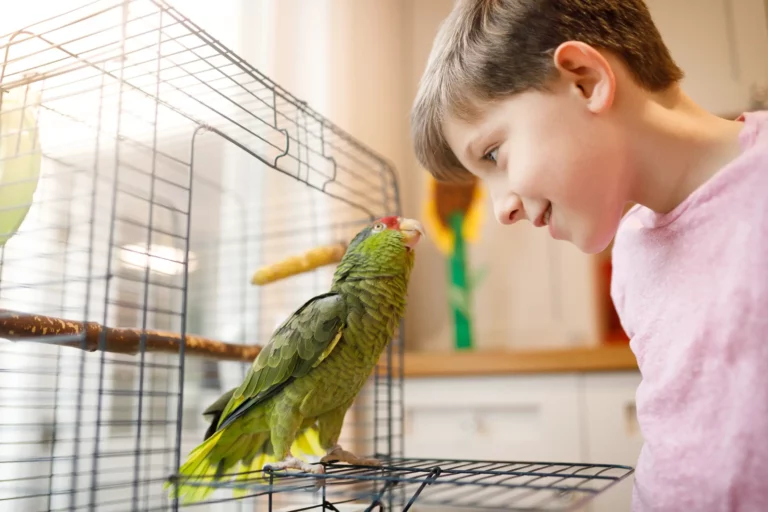 A Comprehensive Guide to Potty Training Your Pet Bird