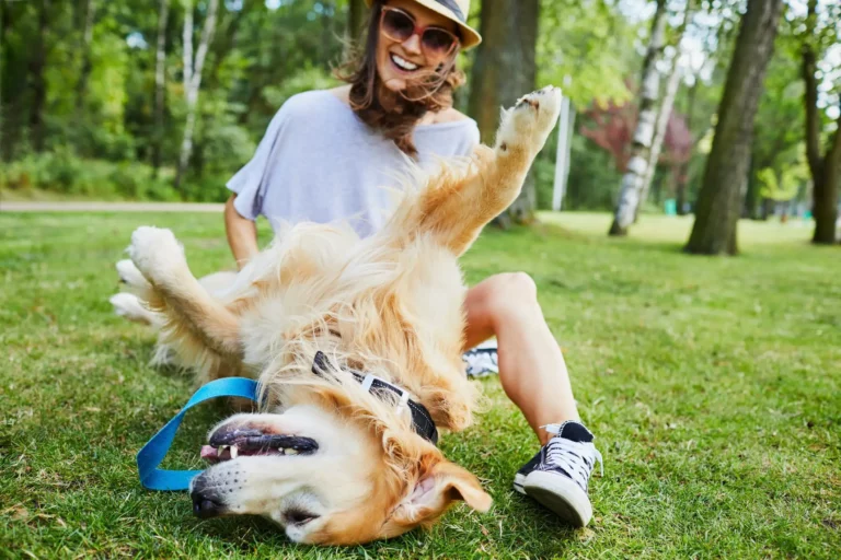 Why Do Dogs Love Belly Rubs? The Science Behind It