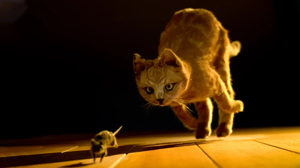 how long will a mouse hide from a cat