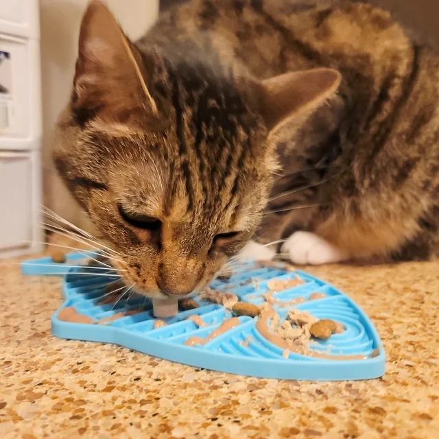 What to Put on a Cat's Lick Mat